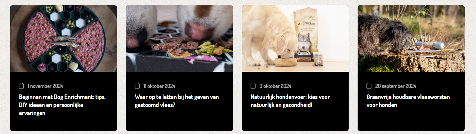 carnis seo artikelen